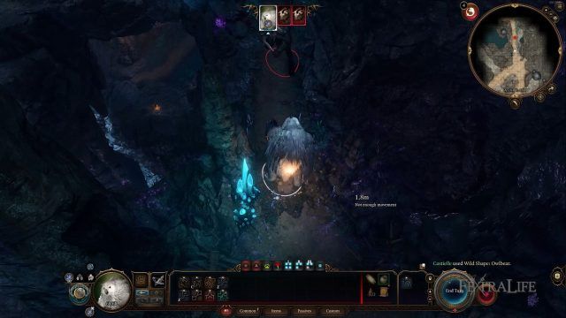 Baldur&rsquo;s Gate 3 - Shapeshifting at the Start
