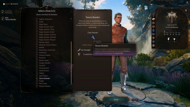 BG3 - Tavern Brawler