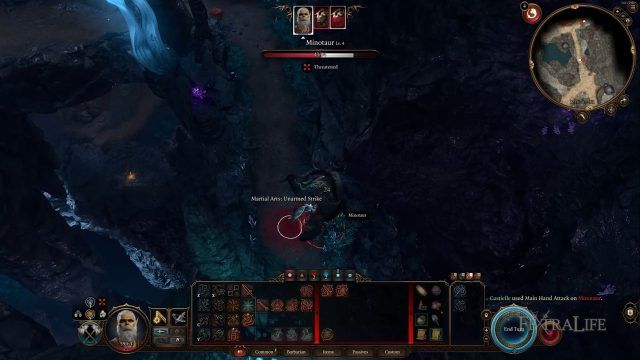 BG3 - Unarmed Strike