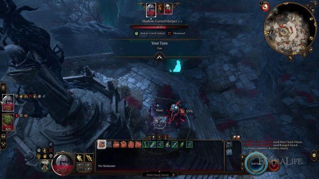 Baldur&rsquo;s Gate 3 - Wildheart Combat