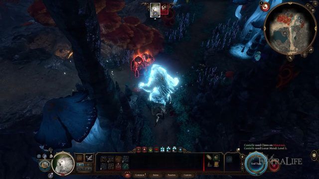 Baldur&rsquo;s Gate 3 - Wildshape