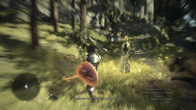 Dragon&rsquo;s Dogma 2 - Pawns