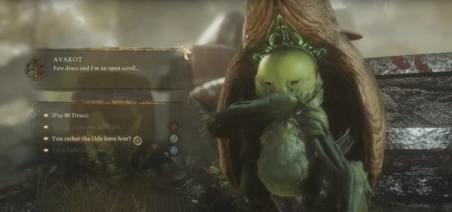 Soulframe   Is it Just Fantasy Warframe?