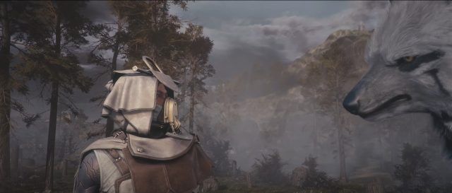 Soulframe Fantasy Setting