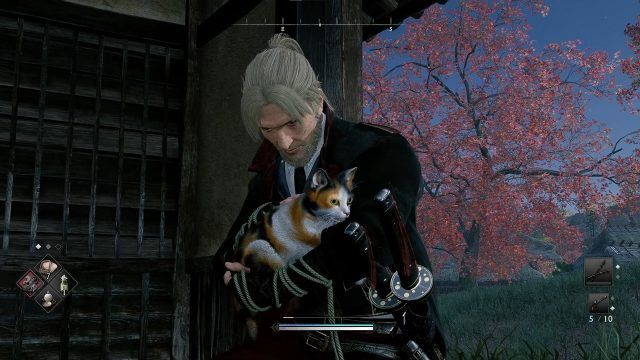 Rise of the Ronin Review