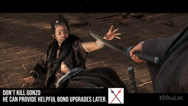 Rise of the Ronin Beginner Guide