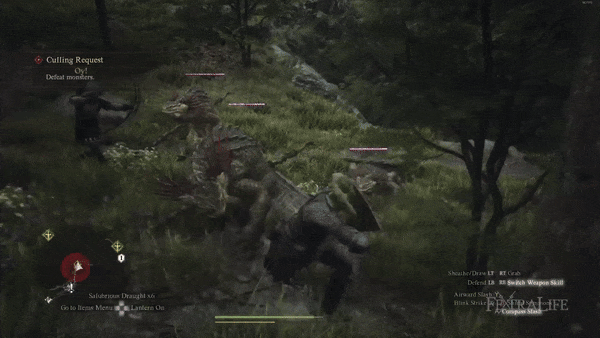 Dragon&rsquo;s Dogma 2 Fighter Build Guide