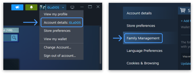 Steam Unveils New Feature Steam Families