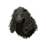Dragon&rsquo;s Dogma 2 Best Armor For Each Vocation &amp; Class