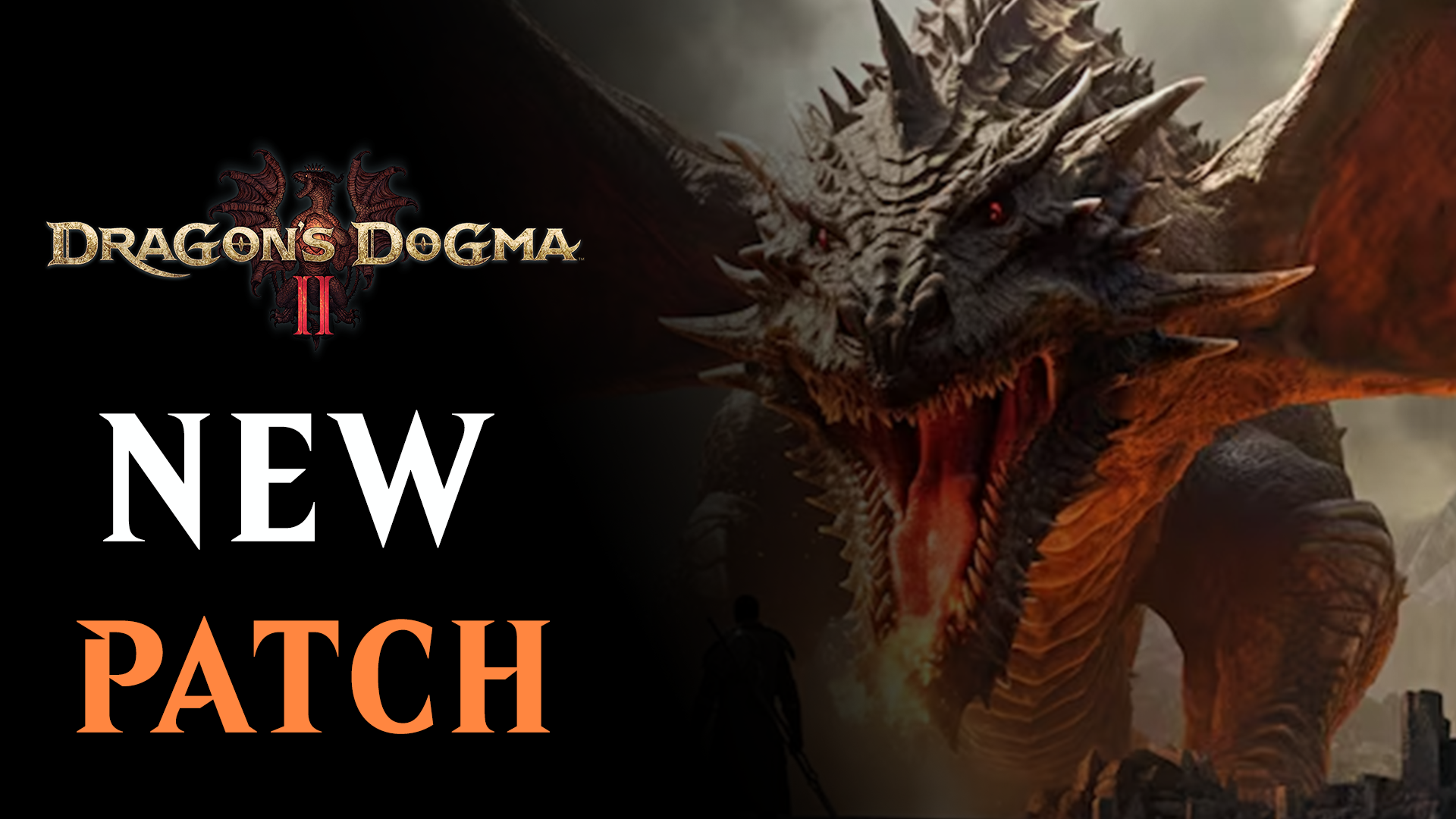 dragons dogma new patch
