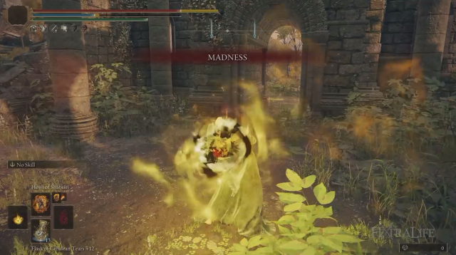 Elden Ring Madness Incantation Build Guide   Frenzied Acolyte