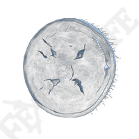 elden-ring-best-greatshield
