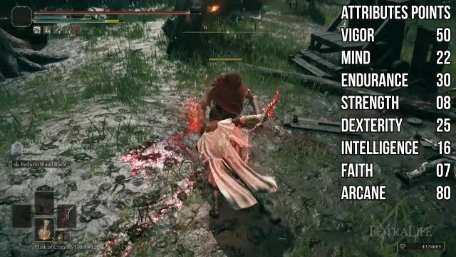 Elden Ring Reduvia Build Guide   Red Rogue