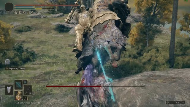Elden Ring Spear and Shield Build Guide   Haima Hoplite