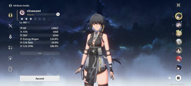 Wuthering Waves Verina Build Guide