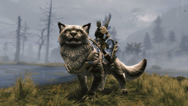 Guild Wars 2 Unveils Its Latest Expansion, Janthir Wilds