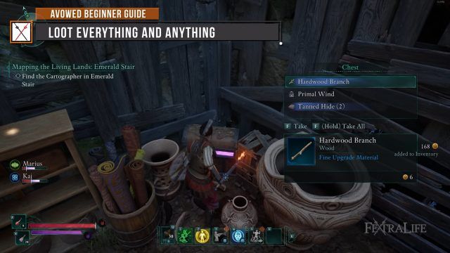Avowed Beginner Guide   BEST TIPS for NEW PLAYERS