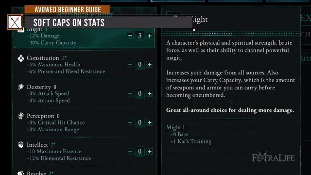 Avowed Beginner Guide   BEST TIPS for NEW PLAYERS