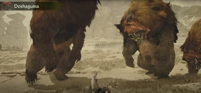Monster Hunter Wilds Review