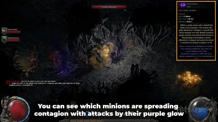 path-of-exile-2-witch-guide-skill-contagion-640x360
