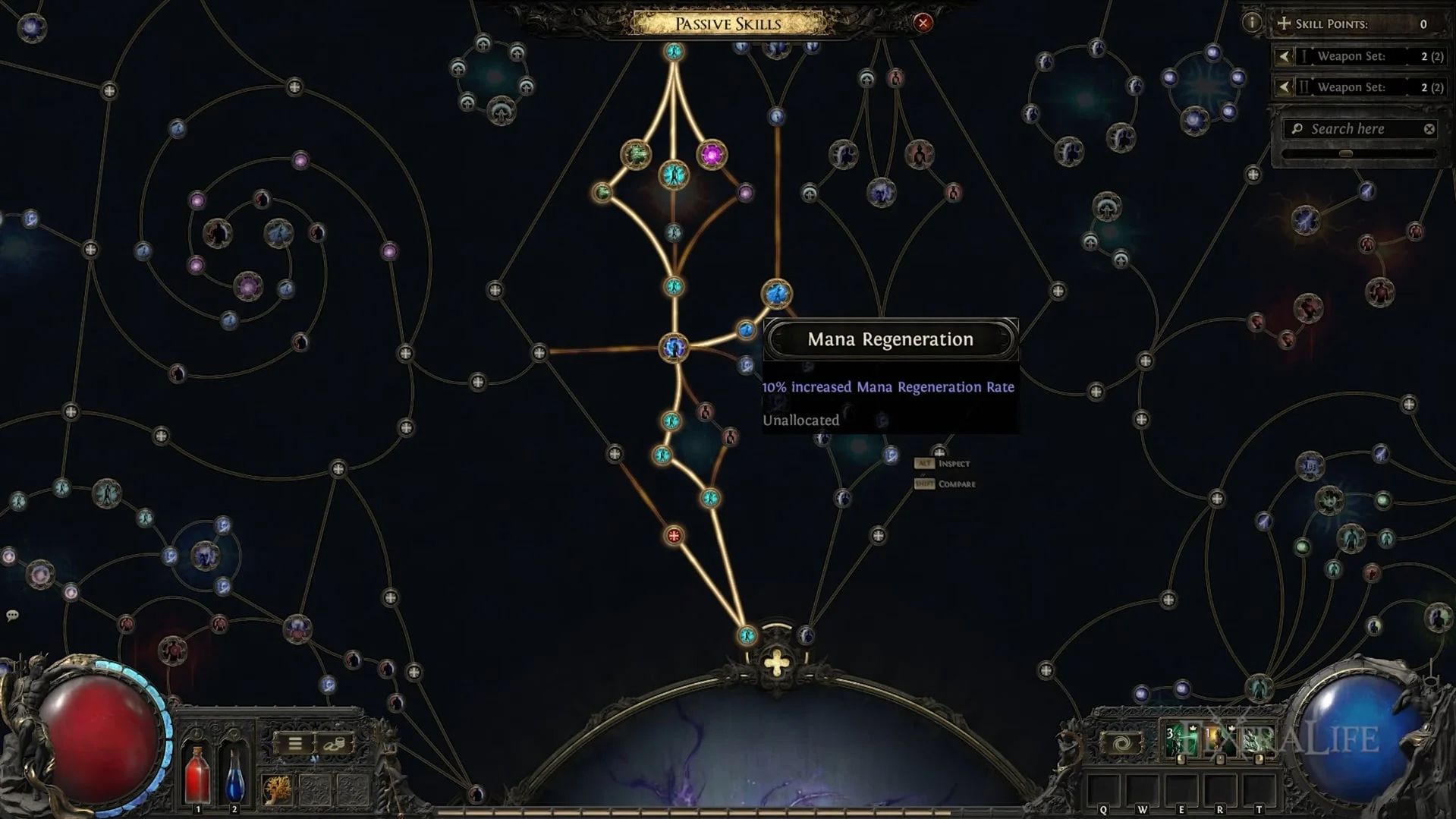 path-of-exile-2-witch-guide-skill-tree