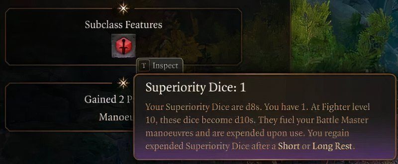 Baldur&rsquo;s Gate 3 Fighter Class Guide 2