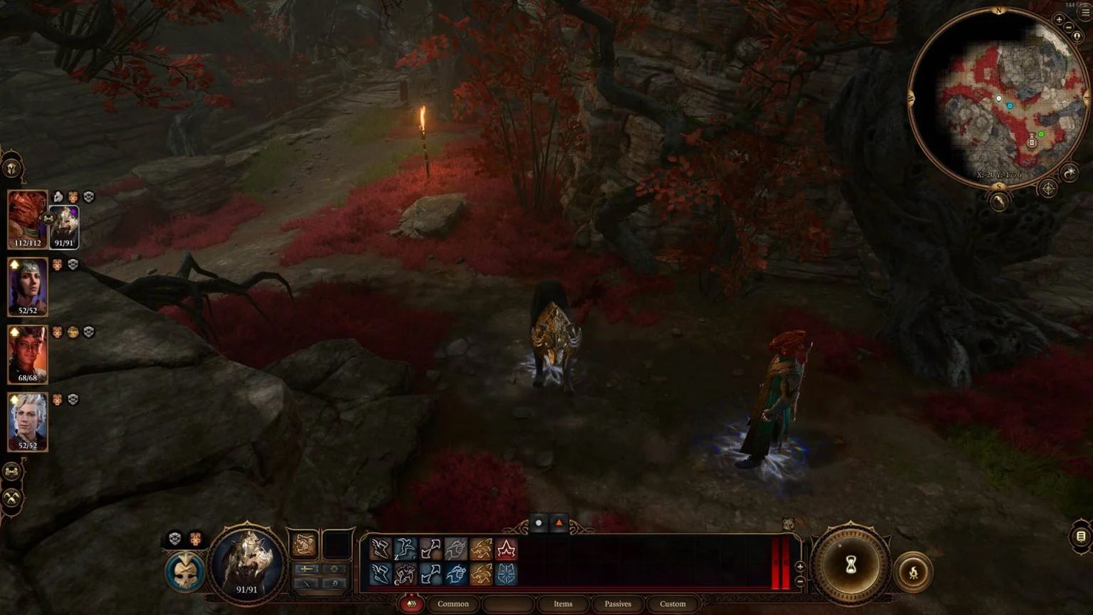 Baldurs-Gate-3-Class-Guide-Ranger-Beast-Master-Wolf-Companion