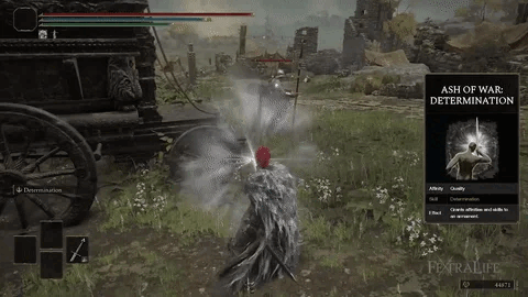 determination-sword-sage-guide-elden-ring-builds-anim