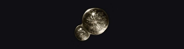 Dexterity-knot Crystal Tear elden ring