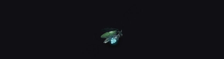 glintstone fireflies elden ring fix