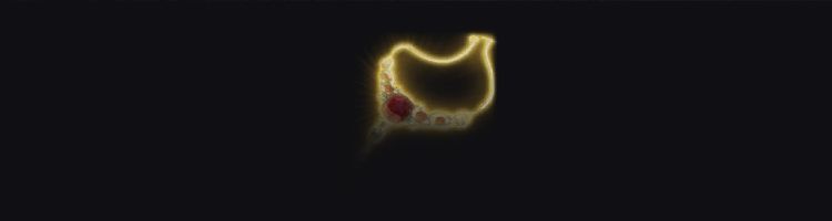 Necklace of Elemental Augmentation bg3