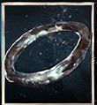 no-rest-for-the-wicked-agility-ring