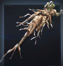no-rest-for-the-wicked-Entwined-Root