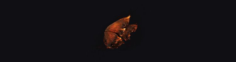 smoldering butterflies elden ring fix