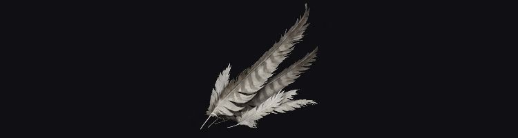 stormhawk feathers elden ring fix