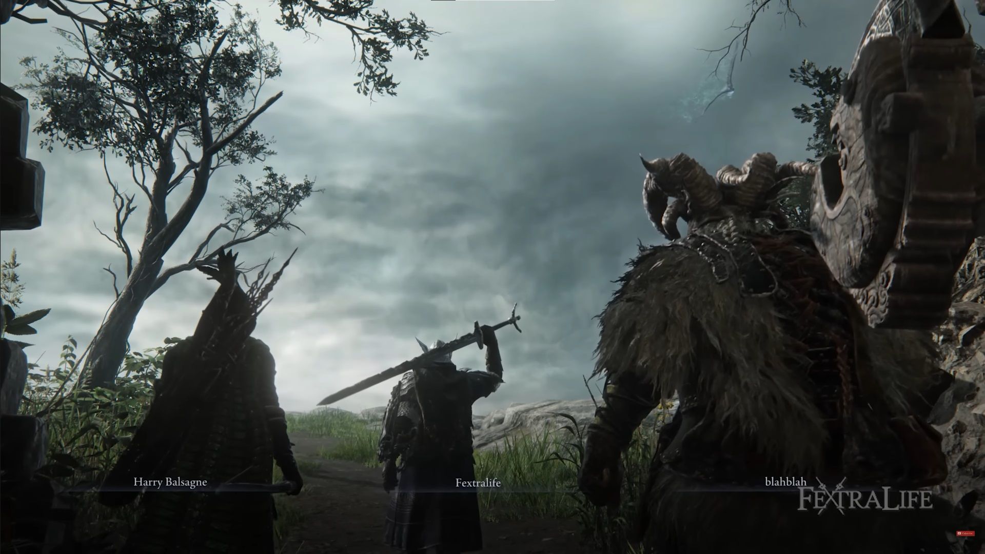 elden-ring-nightreign-wylder-guide-party-composition