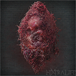 Bloodborne Dataminer Uncovers the Purpose Behind the Yharnam Stone