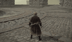 Elden Ring Horned Warrior&rsquo;s Sword Build   Dual Sword Duelist (Shadow of the Erdtree Build)