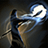 mend-wounds-eso-psijic-order-skill-summerset