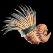 Monster Hunter World: Arch Tempered Nergigante Guide