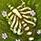 Pillars Of Eternity 2 Druid Build Guide: Ancient Terror