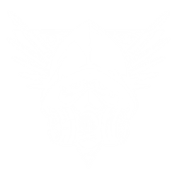 Remnant 2 Summoner &amp; Hunter Build   Painbringer